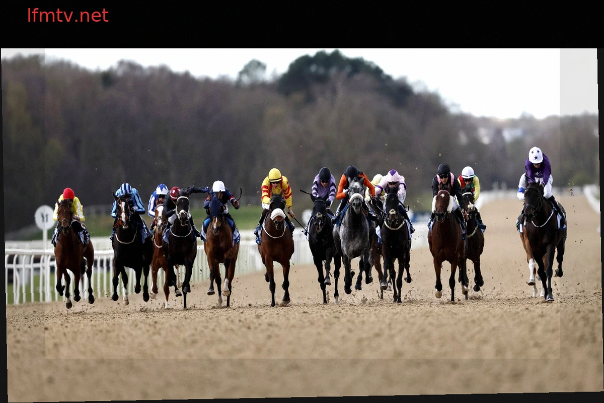 Spirited Gesture and Angel In My Heart Set for Newcastle Showdown