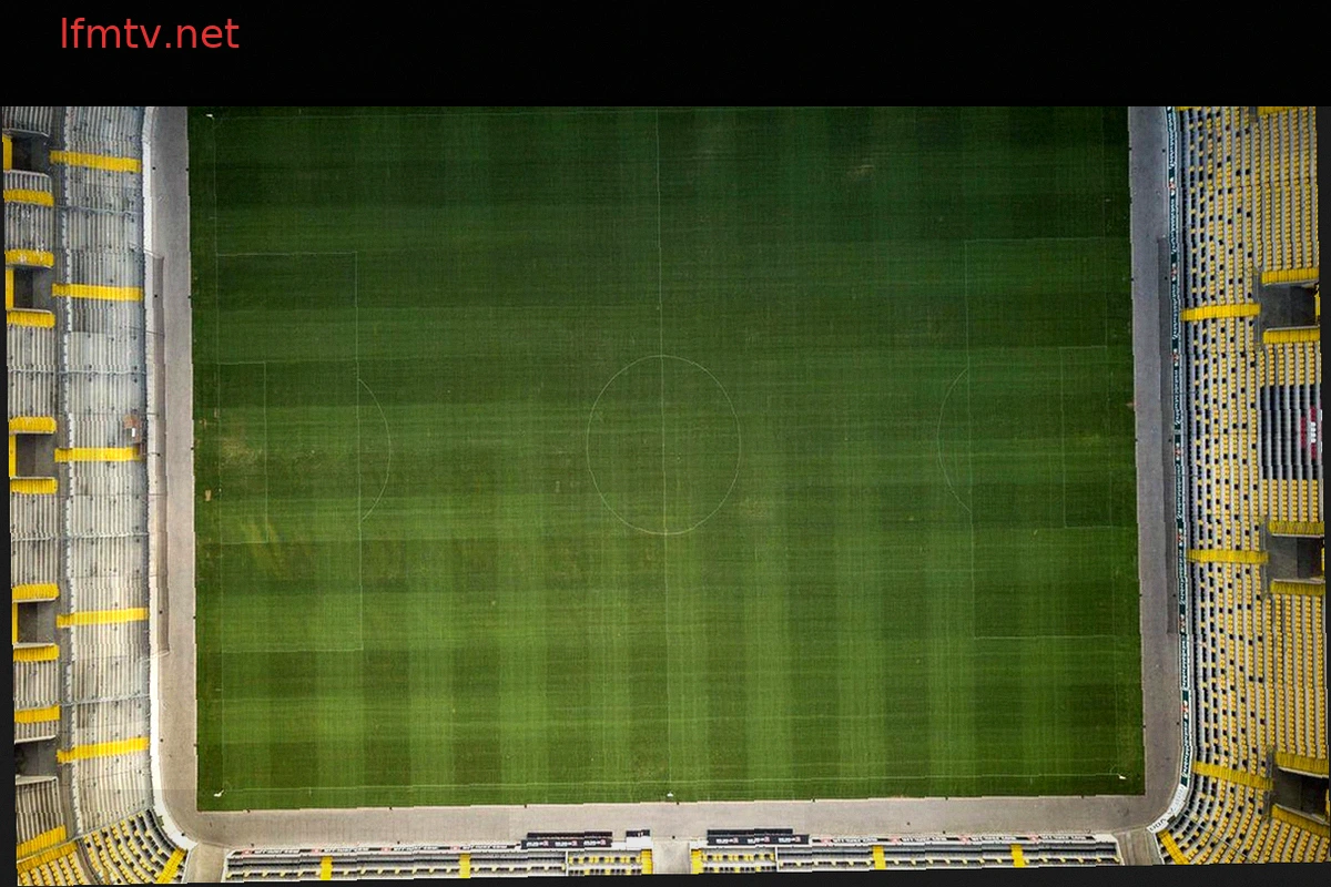 Bundesliga Live: 4th Matchday Conference Stream