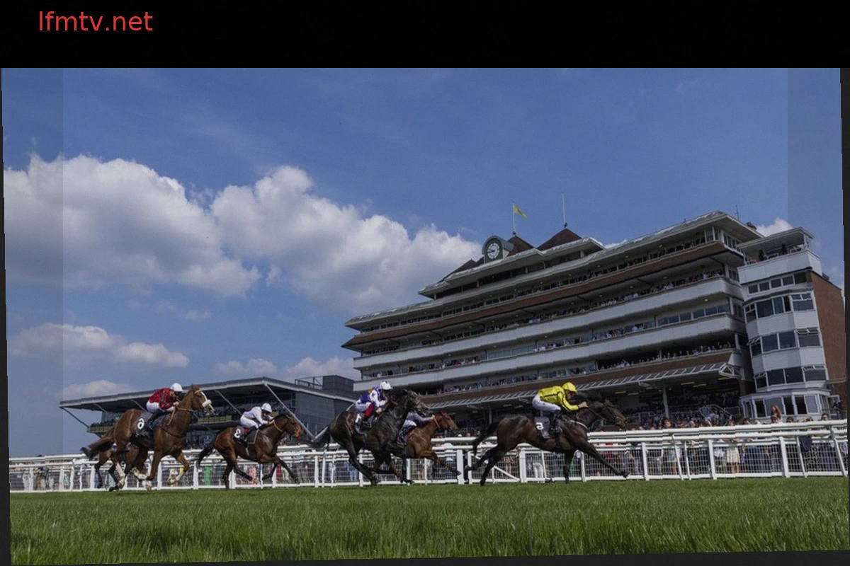 River Card and Cloud Forest Headline Newbury Handicap