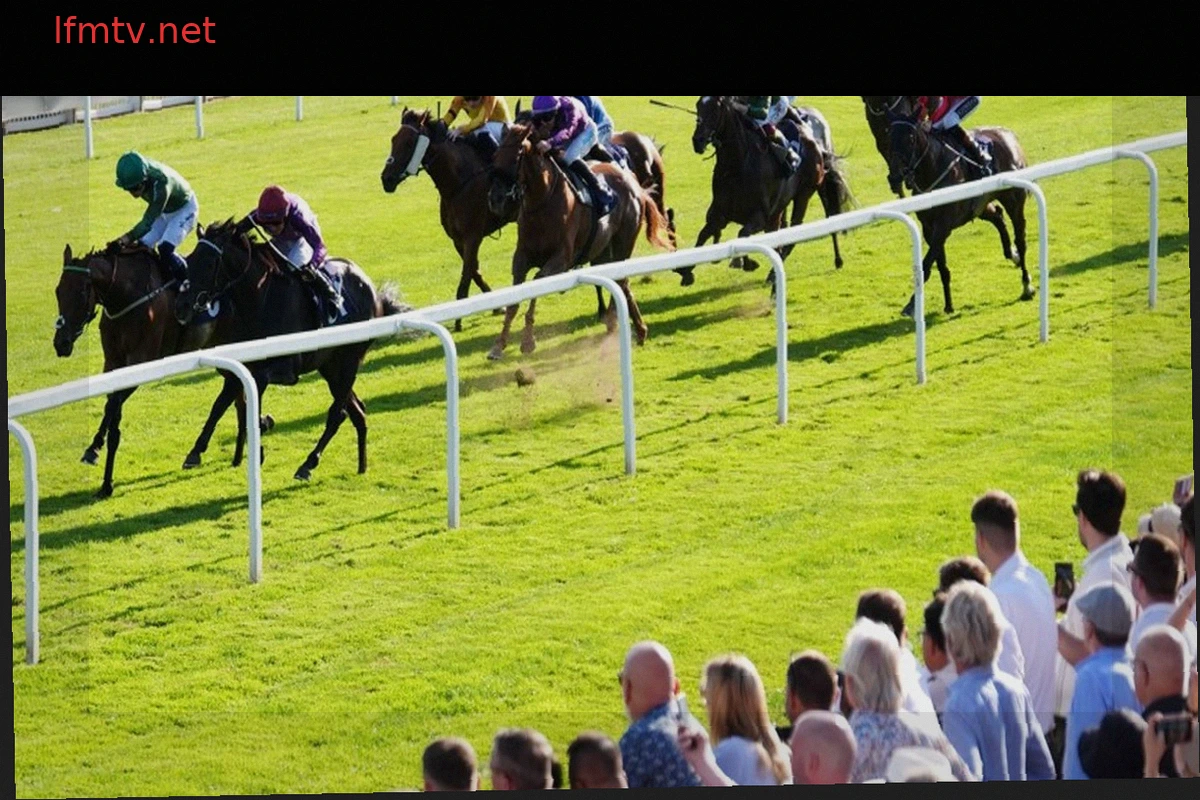 Exciting Camarda Rc Returns at Windsor on Sky Sports Racing