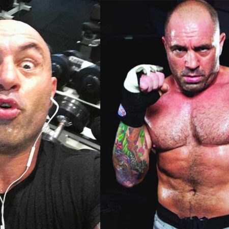 Joe Rogan claimed that MMA legend’s iconic slam KO ‘may be the hardest anybody’s ever been hit’
