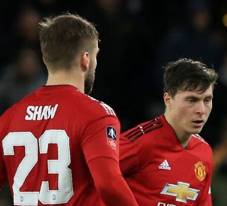 Manchester United: The Delicate Balance of Promise and Performance