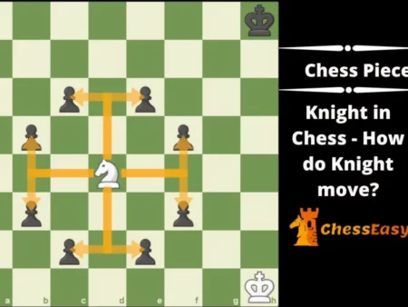 When the Knight’s Move Becomes a Public Scrutiny: FIDE’s Stand on Online Conduct