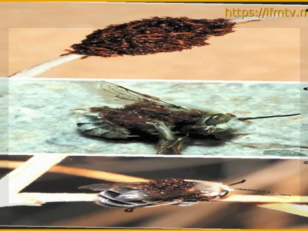 Ferrari Сделала Неправильный Выбор?! | Горячие Мнения WTF1