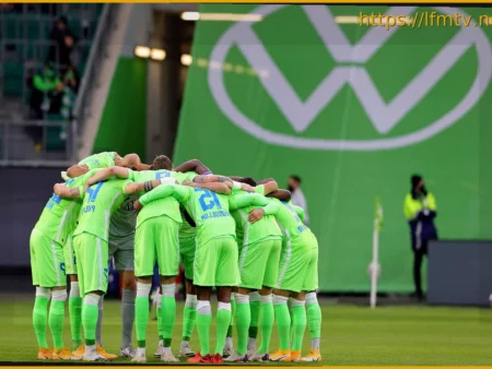 VW Remains Loyal to VfL Wolfsburg Even in Case of Relegation