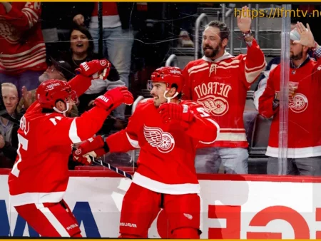 It’s Time for the Detroit Red Wings to Add Some NHL-Calibre Players