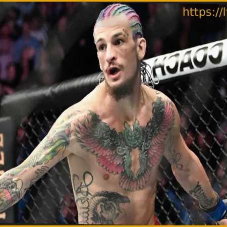 Шон О’Мэлли намерен одержать победу нокаутом на мероприятии UFC в Белом доме