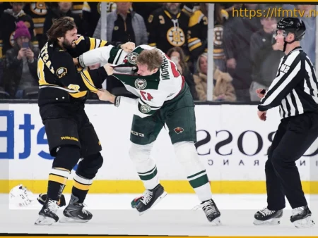 Is Hockey Fighting Declining or Evolving?