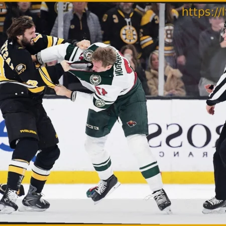 Is Hockey Fighting Declining or Evolving?