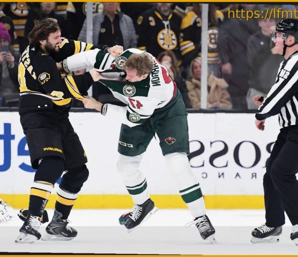 Is Hockey Fighting Declining or Evolving?