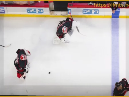 Carolina Hurricanes Goaltending Decisions: Andersen, Kochetkov, or Bussi?