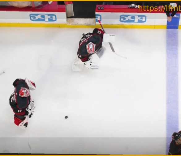 Carolina Hurricanes Goaltending Decisions: Andersen, Kochetkov, or Bussi?