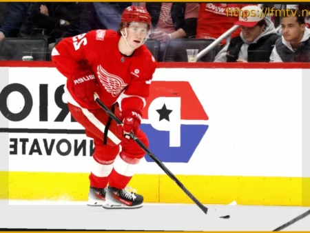 The Detroit Red Wings Could Tempt Teams with their Depth of Prospects